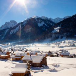 Au im Bregenzerwald 5 cottages