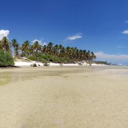 Ipojuca 35 resorts