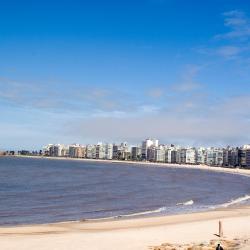 Montevideo 446 hotels