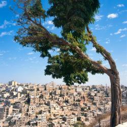 Amman 15 hostels