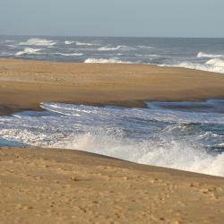 San Bernardo 203 hotels