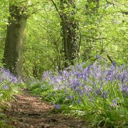 Holmes Chapel 3 pet-friendly hotels