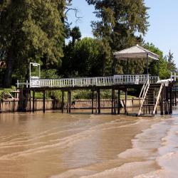 Tigre 232 hotels