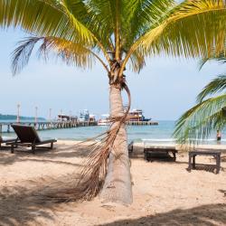 Sihanoukville 18 holiday rentals