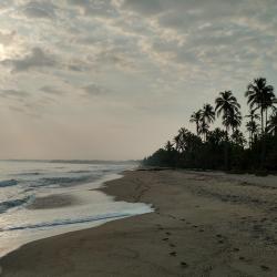 Palomino 16 hostels