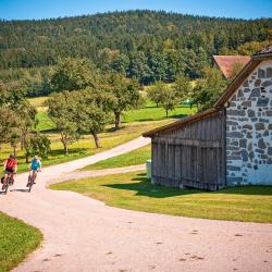 Klaffer am Hochficht 9 hôtels