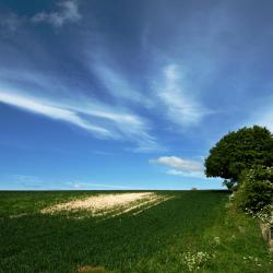 Great Driffield 44 holiday homes