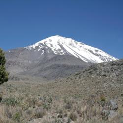 Orizaba 28 hotel