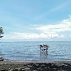 Ometepe 5 hotéis económicos