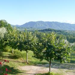 San Donato Val di Comino 3 farm stays