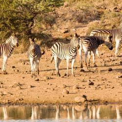 Nambiti Private Game Reserve 8 hotels