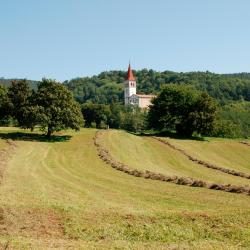 Ilirska Bistrica 5 apartmen