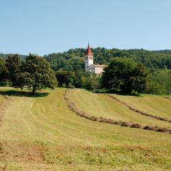 Ilirska Bistrica 11 of the cottages