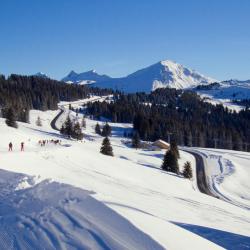 Morzine 494 hotels