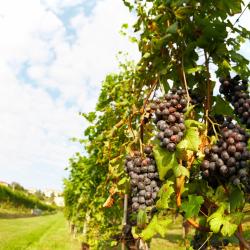 Castiglione Tinella 3 hot&eacute;is com banheiras de hidromassagem