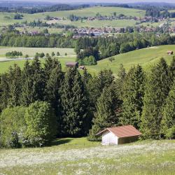 Buchenberg 11 готелів