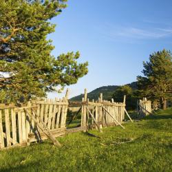 Alcorisa 3 hot&eacute;is que aceitam pets