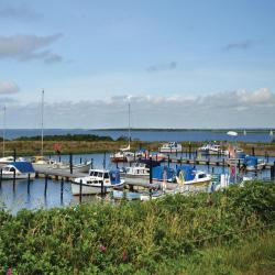 Tarm 110 holiday rentals
