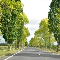 Revesby 15 hotels
