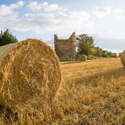 Loanhead 3 отеля