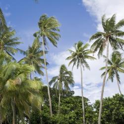 Paea 17 beach hotels