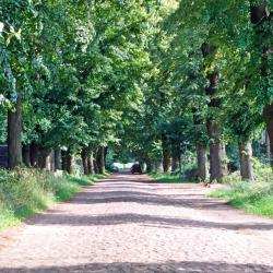 Wedemark 20 hotéis