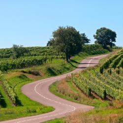 Dossenheim-sur-Zinsel 2 hotels