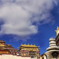 Zhongxin 1 hotel