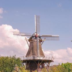 Vledder 4 cabins
