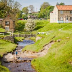 Hutton le Hole 7 kjæledyrvennlig