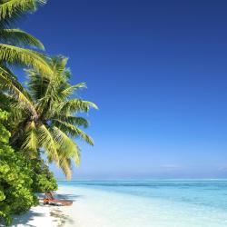 Dhangethi 26 hotelů
