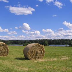 Hlinsko 13 hotelů