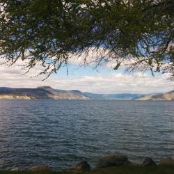 Naramata 5 hotels