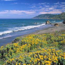 McKinleyville 21 hotels