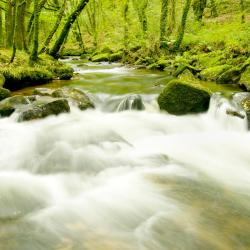 Lostwithiel 4 glamping sites