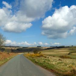 Llandrindod Wells 4 glamping sites