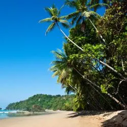 푸에르토 비에조