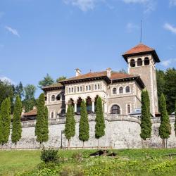 Casa Ferica, Azuga (aktualisierte Preise für 2025)