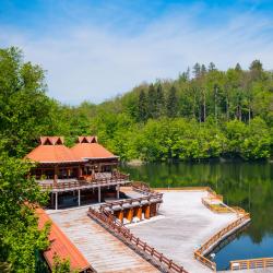 Sovata 85 guest houses