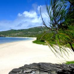 Saint Francois 3 homestays