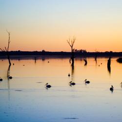 Barmera 12 hotels