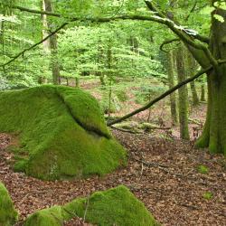 Corrèze Počitniške hiške (4)