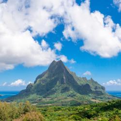 Pihaena 6 hotels