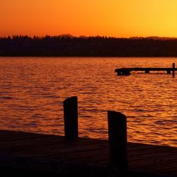 Kirkland 39 hotels