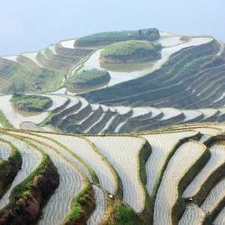 Longsheng 26 hotels