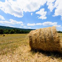 Jossigny 3 holiday homes