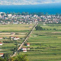 Pogradec 16 cottages