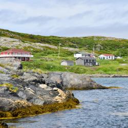 L'Anse aux Meadows 호텔 2개