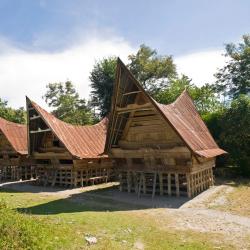 Ambarita 9 hotelů