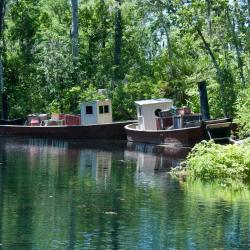 Silver Springs 12 hotels